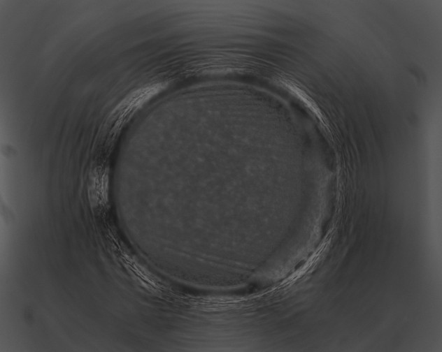 X0000090700777200708031412