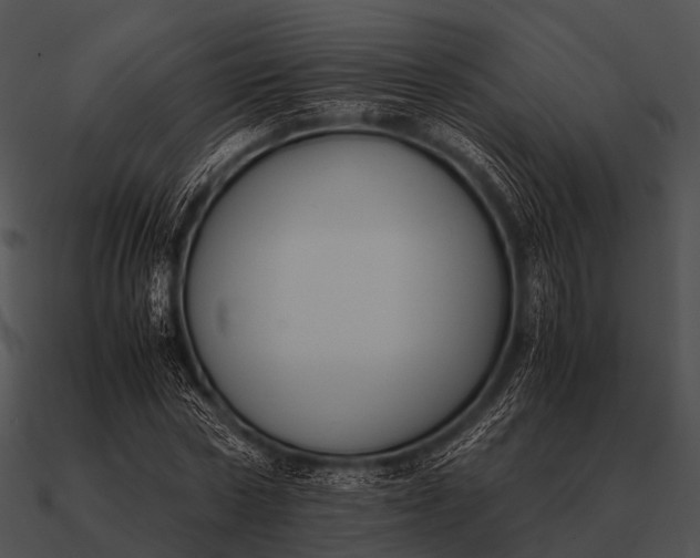 X0000090700778200708031412