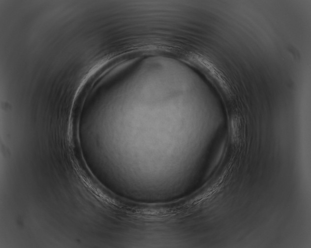 X0000090700780200708031412