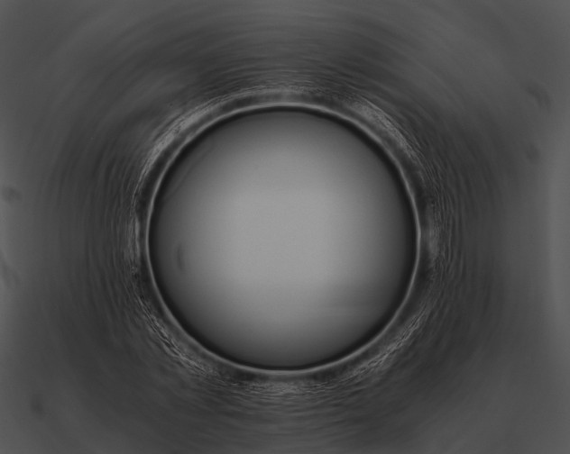 X0000090700781200708031412