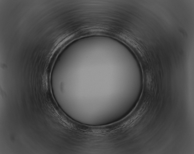 X0000090700782200708031412