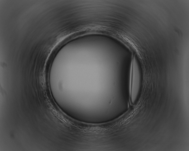 X0000090700784200708031412