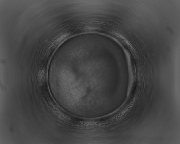 X0000090700785200708031412