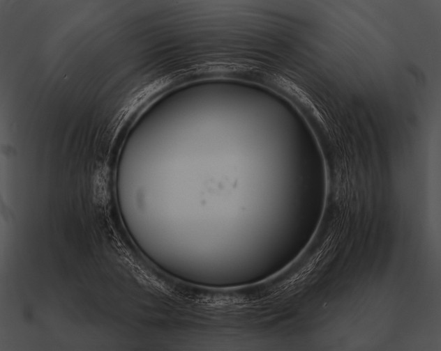 X0000090700786200708031412