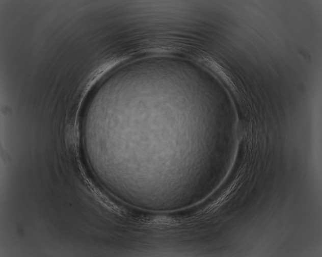 X0000090700787200708031412