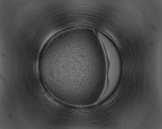 X0000090700788200708031412