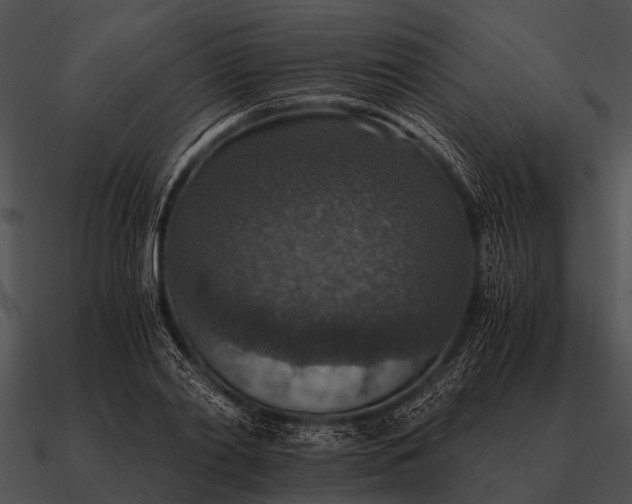 X0000090700790200708031412