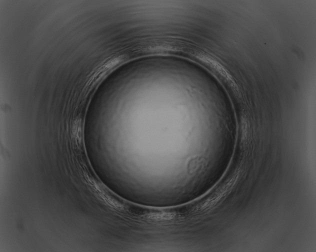 X0000090700793200708031412