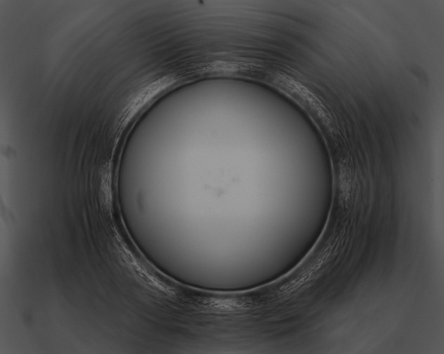 X0000090700794200708031412