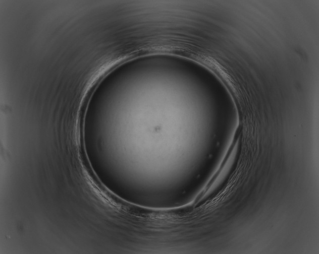 X0000090700795200708031412