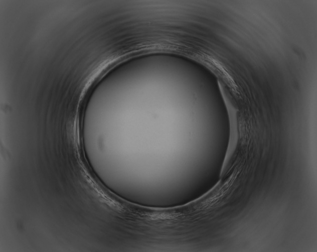 X0000090700796200708031412