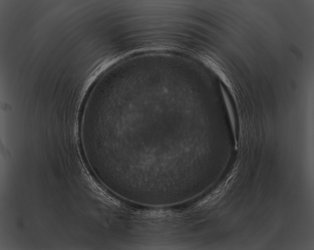 X0000090700797200708031412