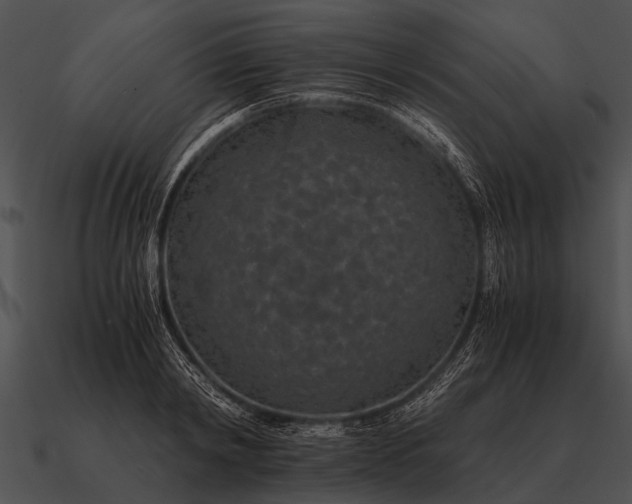 X0000090700798200708031412