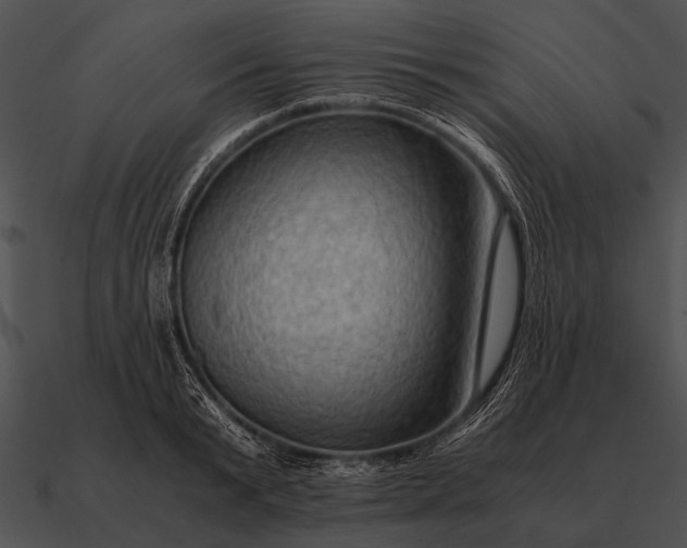 X0000090700799200708031412