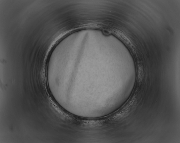 X0000090700800200708031412