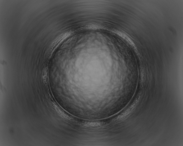 X0000090700801200708031412