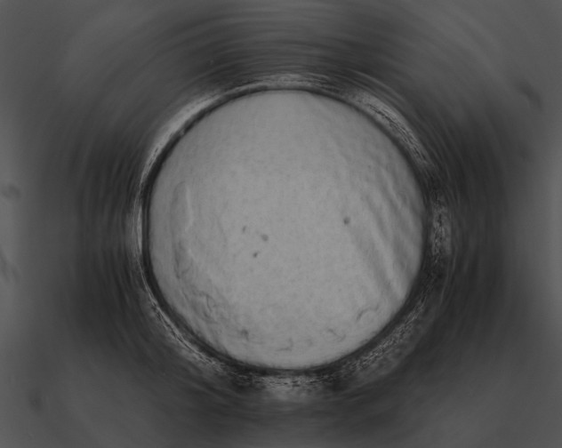 X0000090700804200708031412