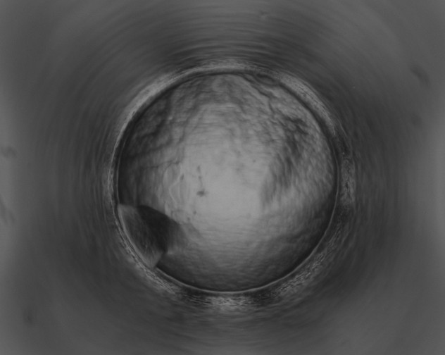 X0000090700805200708031412