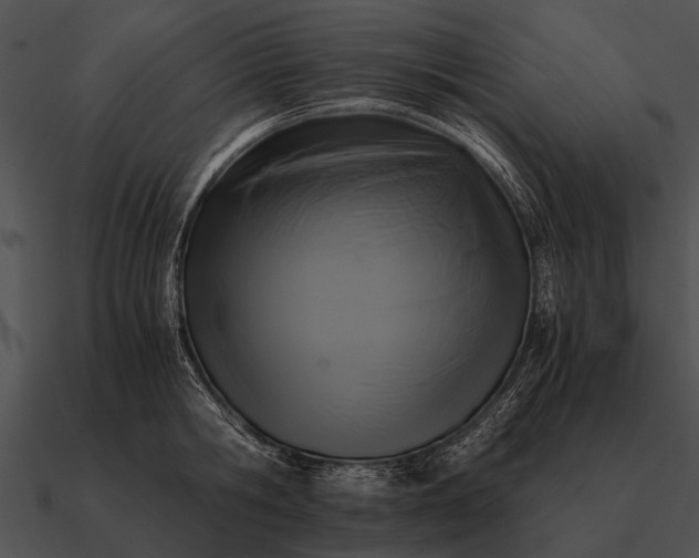 X0000090700806200708031412