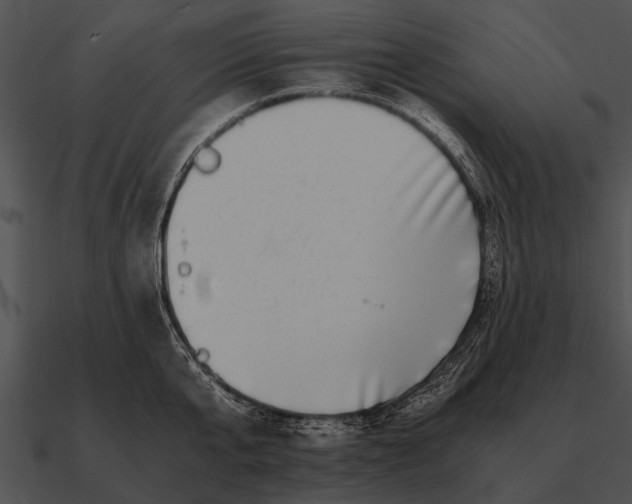 X0000090700807200708031412