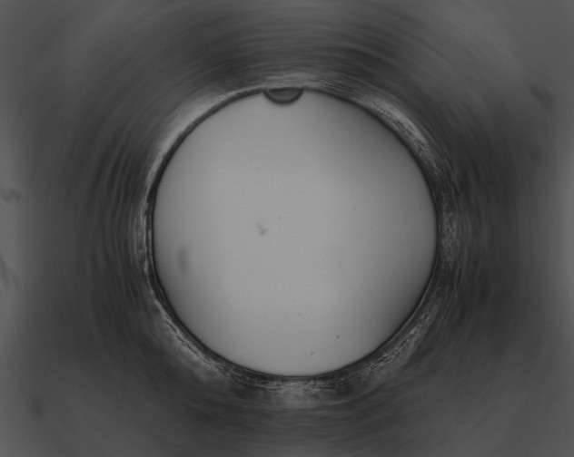 X0000090700808200708031412