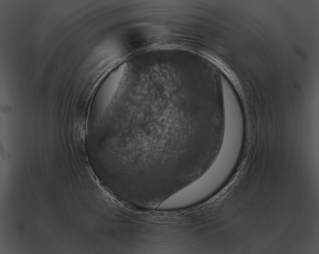 X0000090700809200708031412