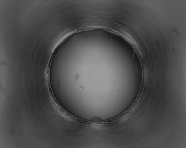 X0000090700814200708031412