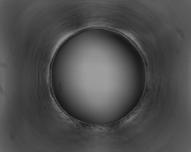 X0000090700815200708031412