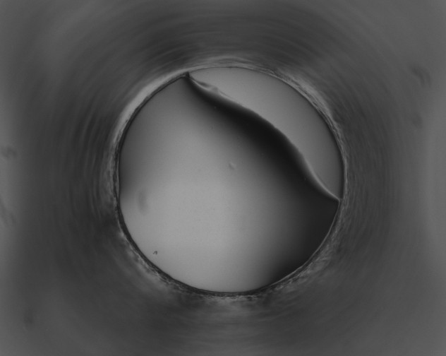 X0000090700816200708031412