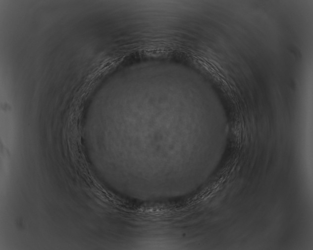 X0000090700817200708031411