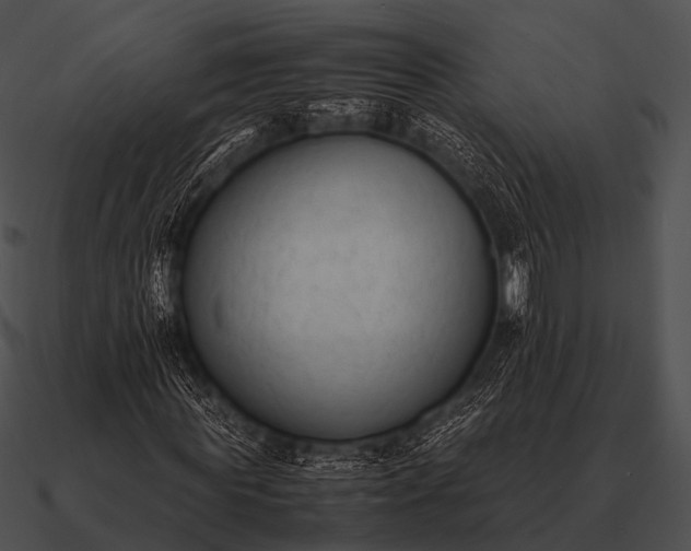 X0000090700819200708031411