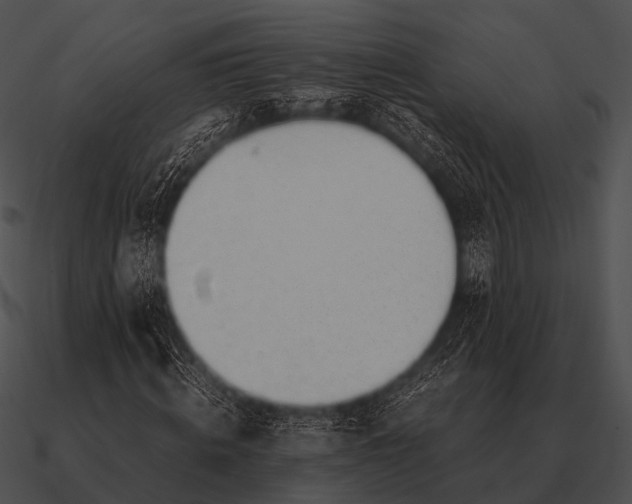 X0000090700820200708031411