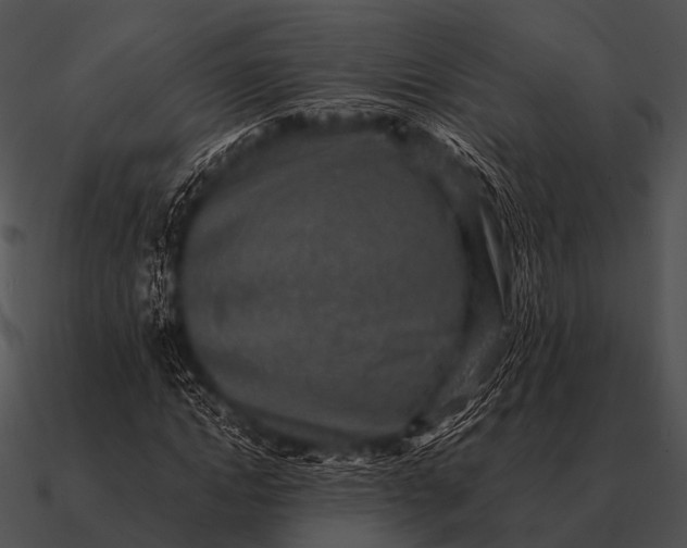 X0000090700822200708031411