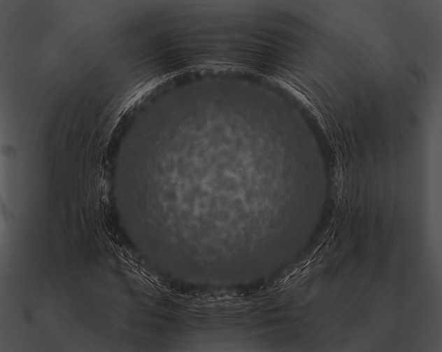 X0000090700823200708031411