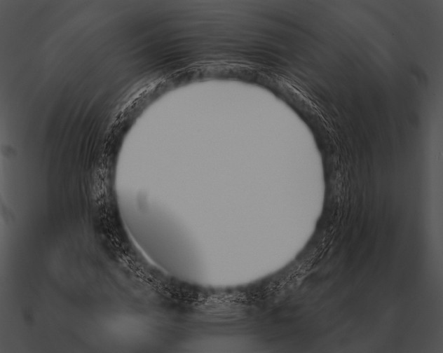 X0000090700824200708031411