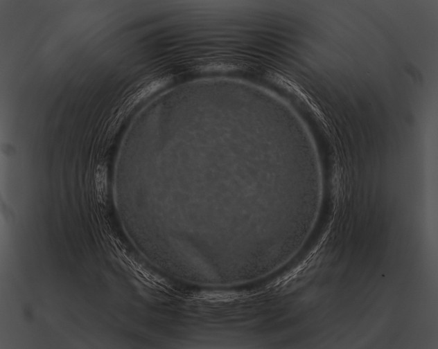 X0000090700825200708031411