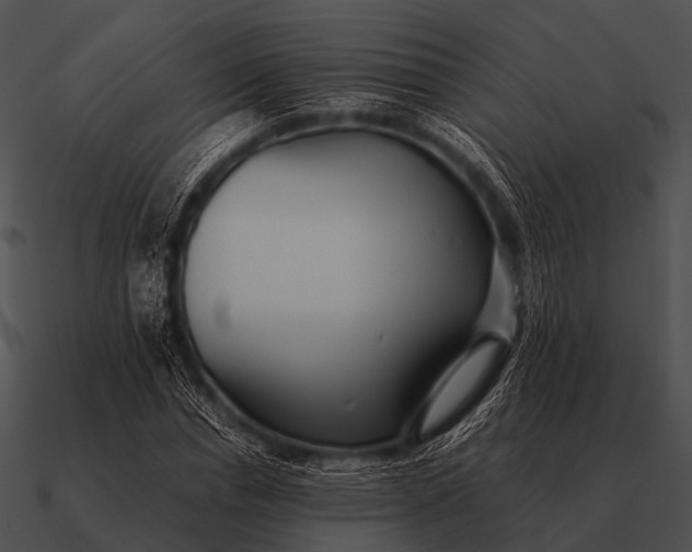 X0000090700826200708031411