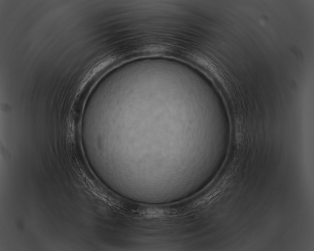 X0000090700827200708031411