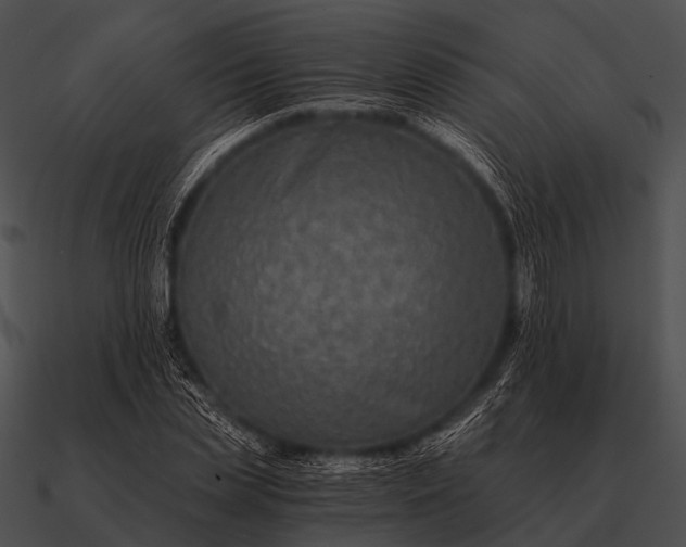 X0000090700829200708031411