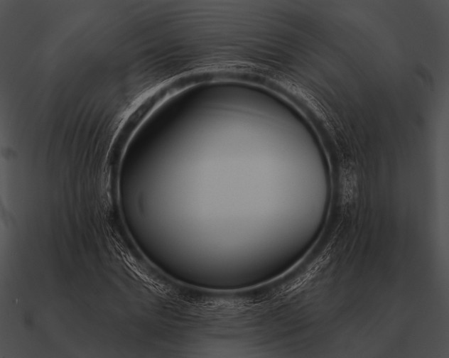 X0000090700830200708031411