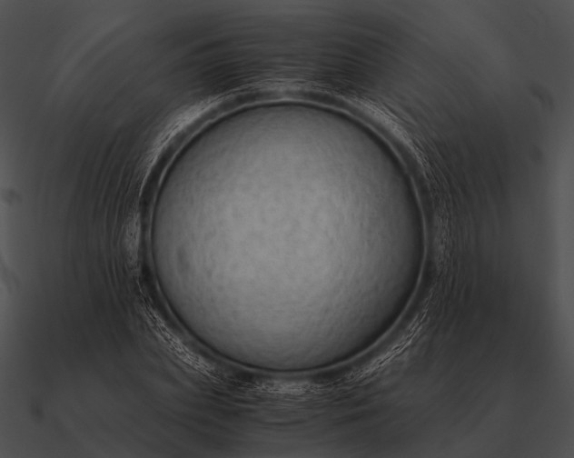 X0000090700831200708031411