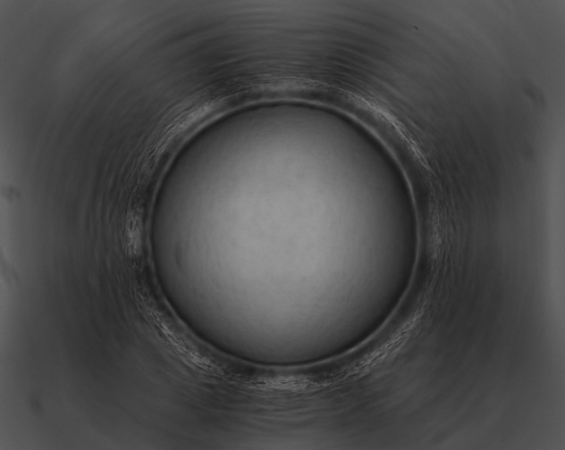 X0000090700833200708031411