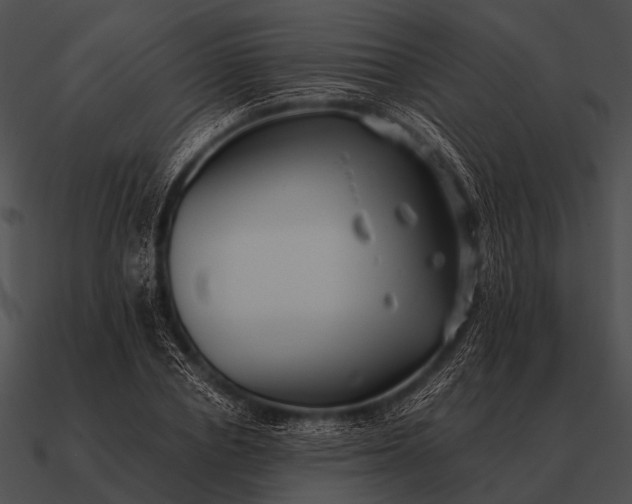 X0000090700834200708031411