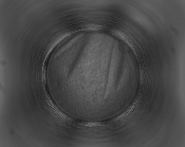 X0000090700835200708031411