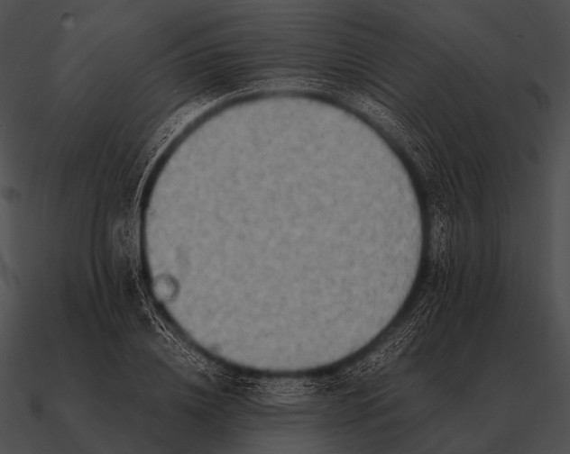 X0000090700836200708031411