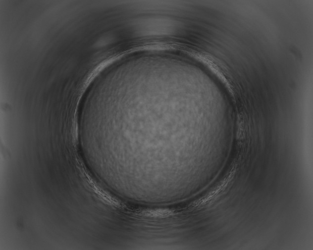 X0000090700837200708031411