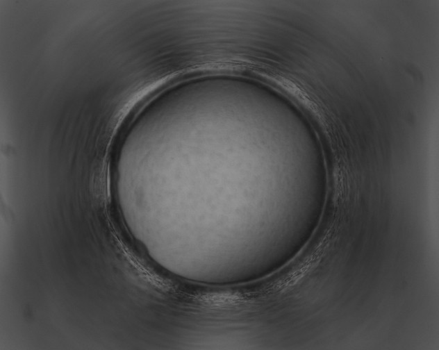 X0000090700838200708031411