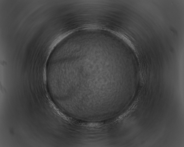 X0000090700839200708031412