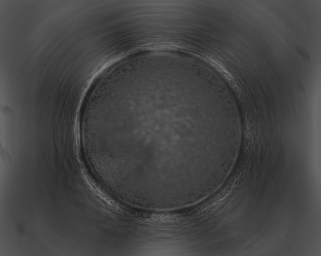 X0000090700840200708031412