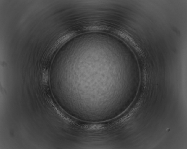 X0000090700841200708031412